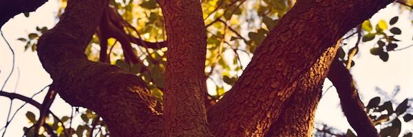 realPabloD97's profile banner image