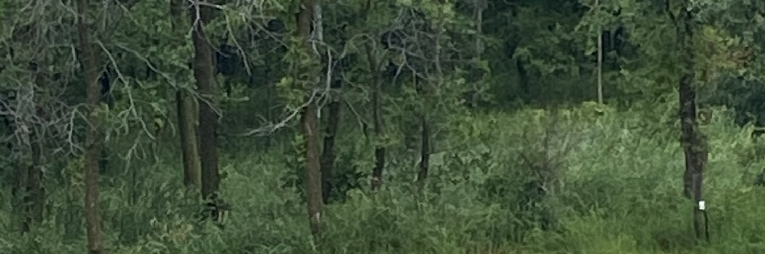 Fantasy FootballDude banner