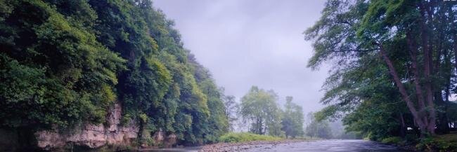 Stan Chan banner