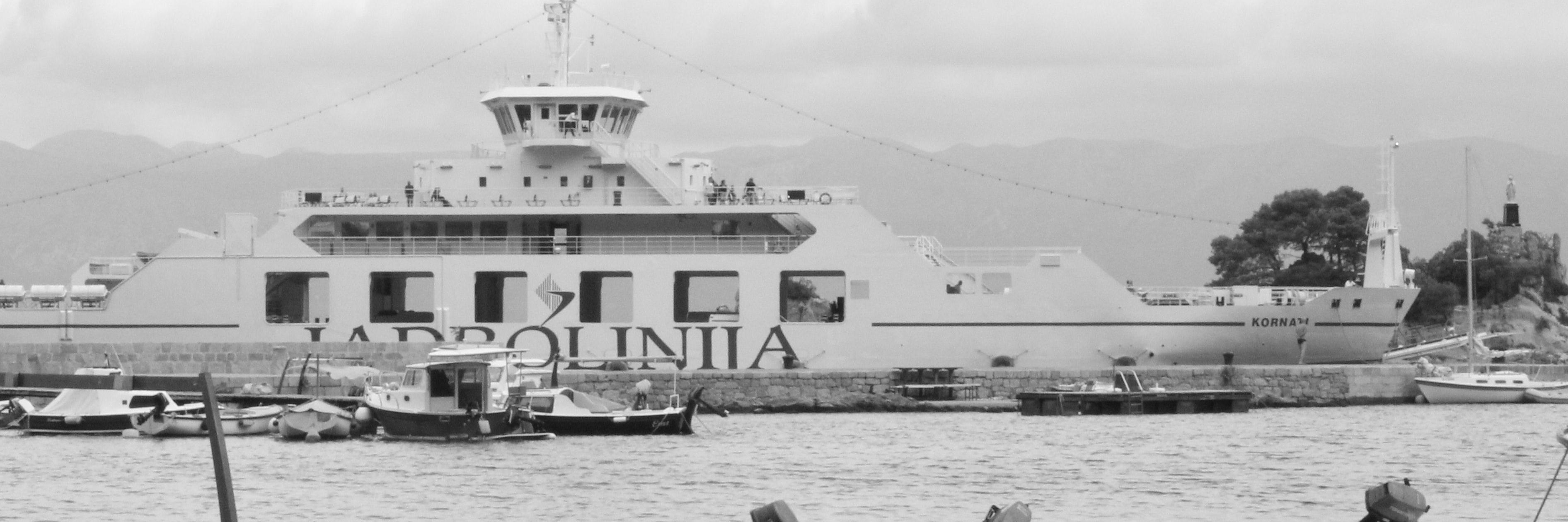 Limunibus's profile banner image