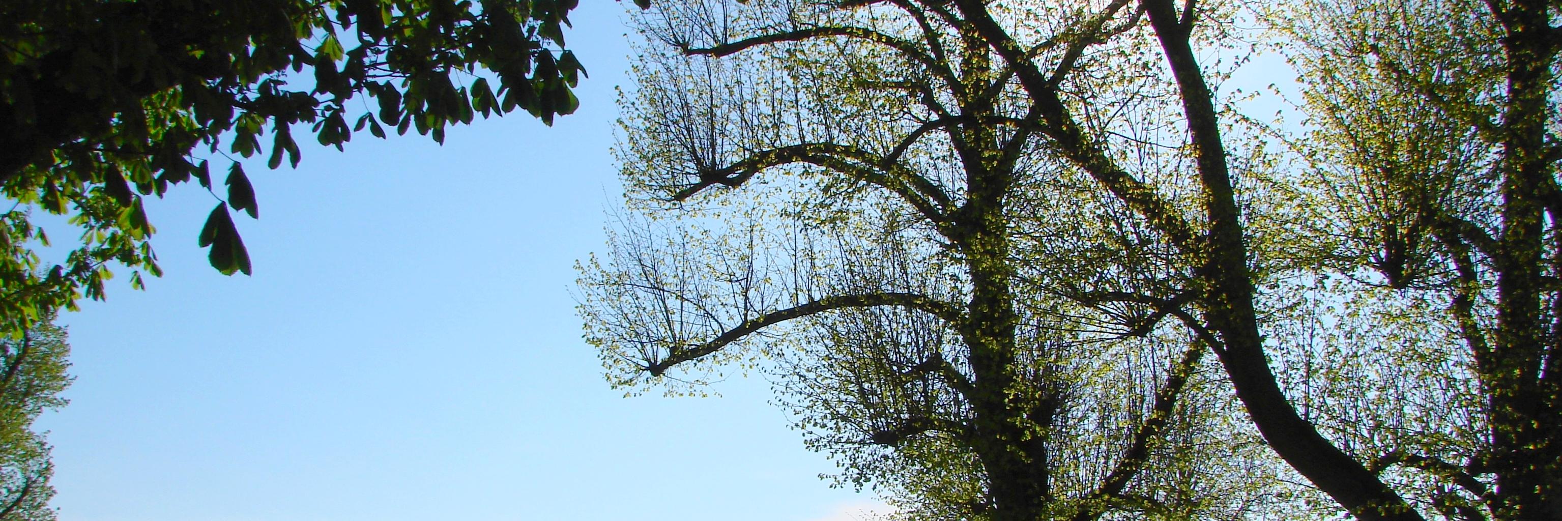 ADelumeau's profile banner image