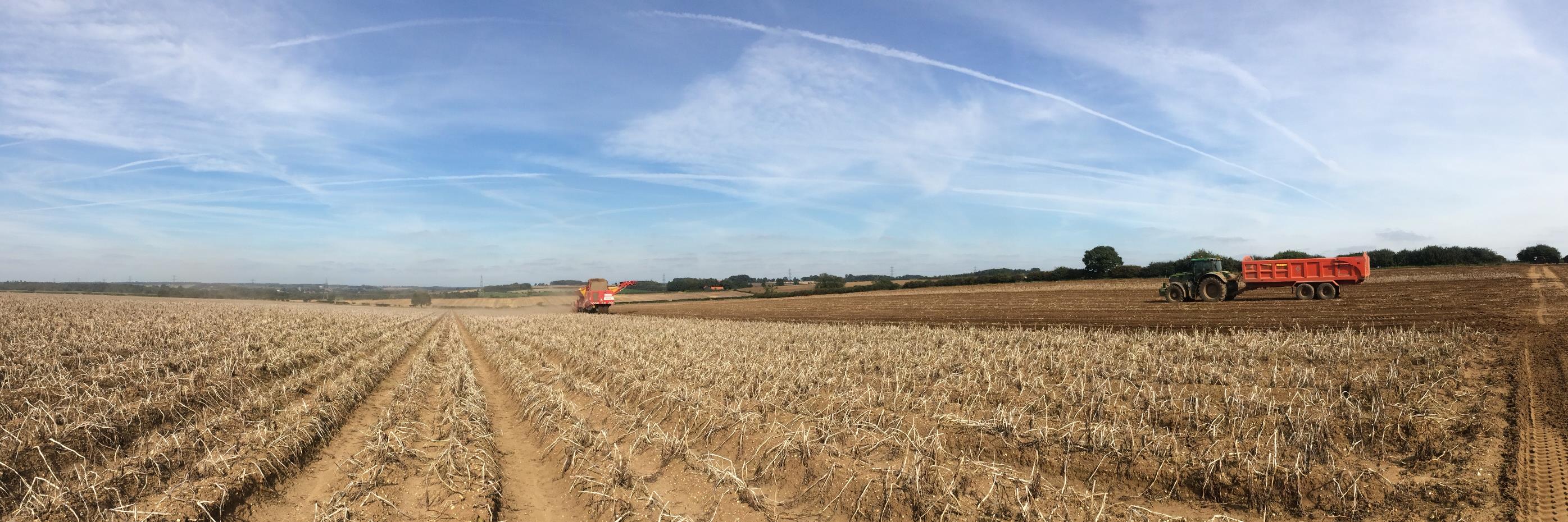 Spearhead Potatoes banner