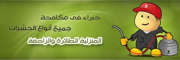 alt3awn_11's profile banner image