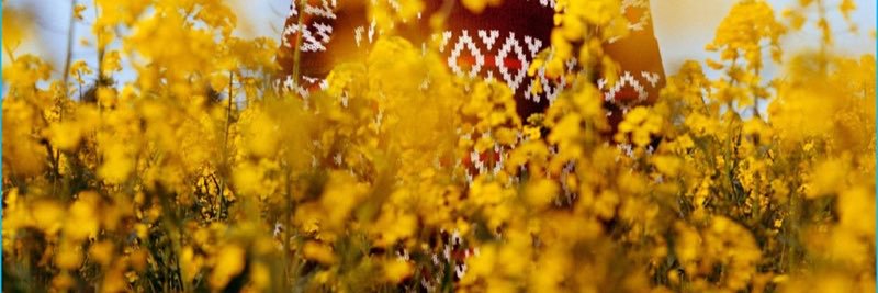 _samlikesjam's profile banner image