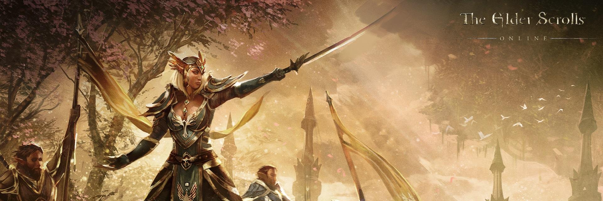 Join Our Eso Guild banner