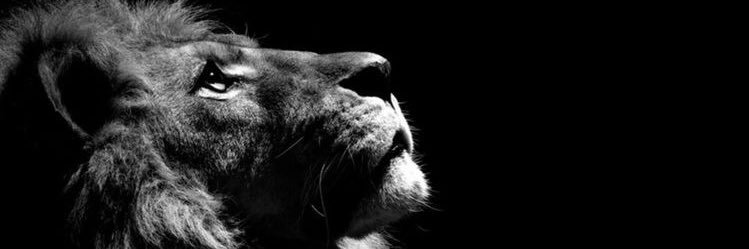 edakonyarr's profile banner image