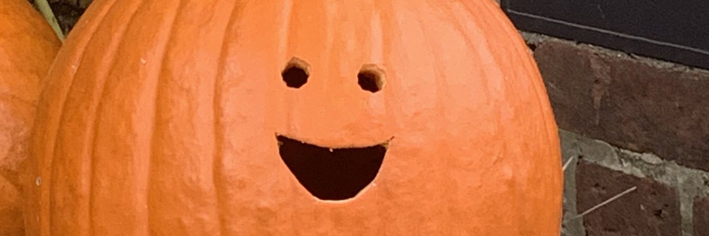 某叉焼猫@低浮上's banner