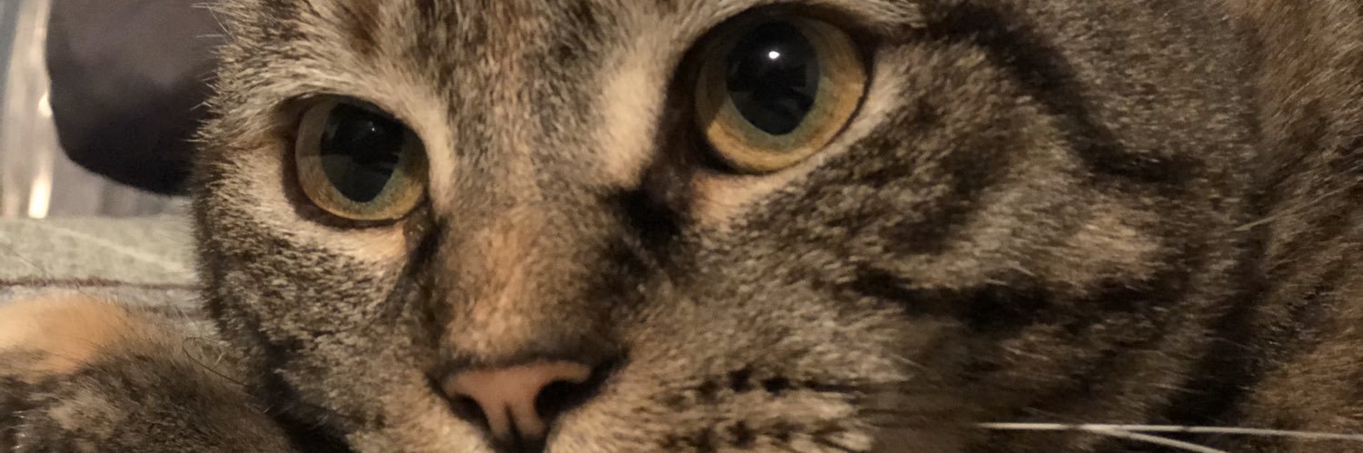 kemh27's profile banner image