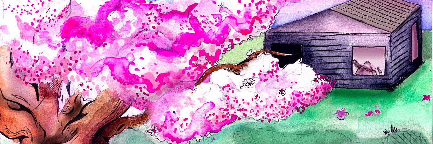 Will Mackie-Jenkins banner