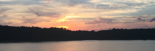 AngelaNine Profile Banner