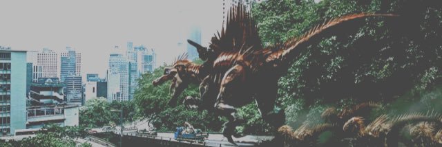 AlphaScorn's profile banner image