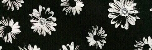 0null42's profile banner image