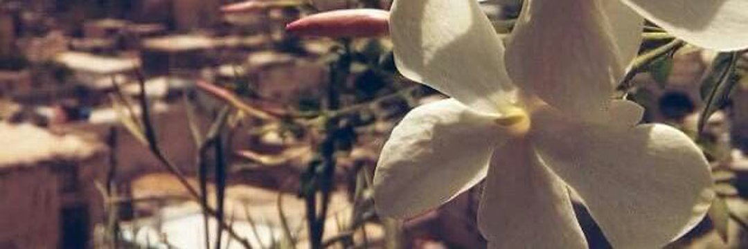 Sonia_memon_'s profile banner image