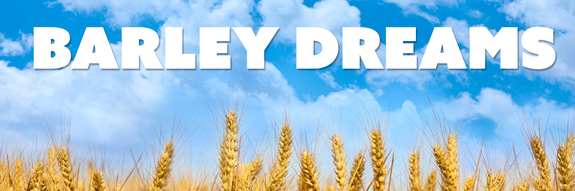 barleydreams's profile banner image