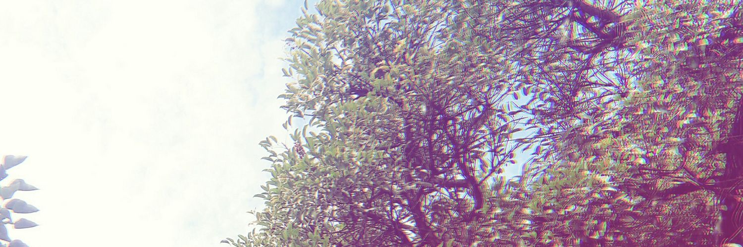 gonxaf's profile banner image