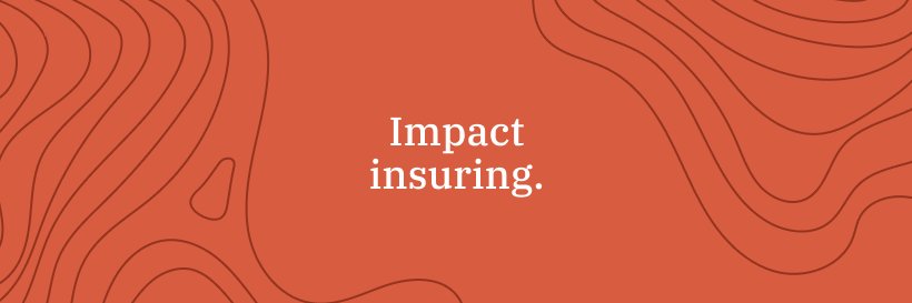 Blue Marble Microinsurance banner