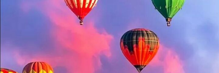 areebalaraib's profile banner image