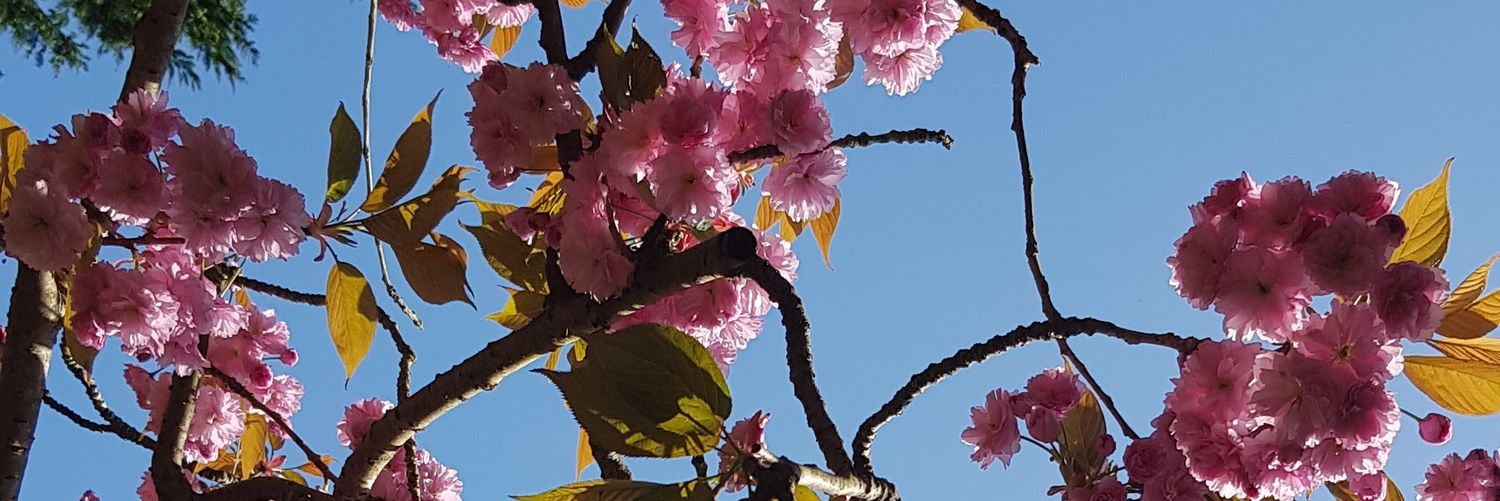 gabrielle___x's profile banner image