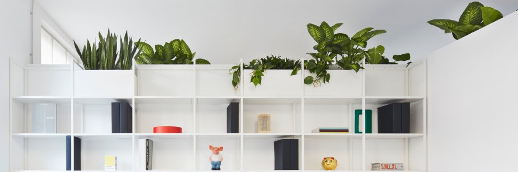 BerteroProjects's profile banner image