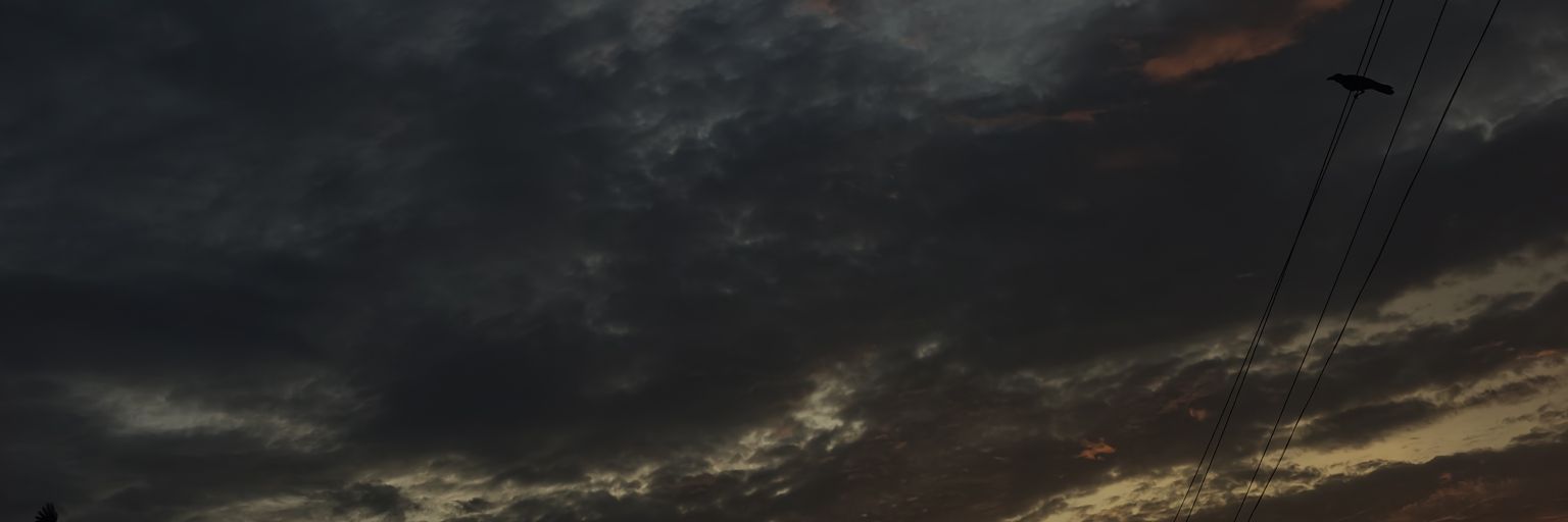 sunflowervol10's profile banner image