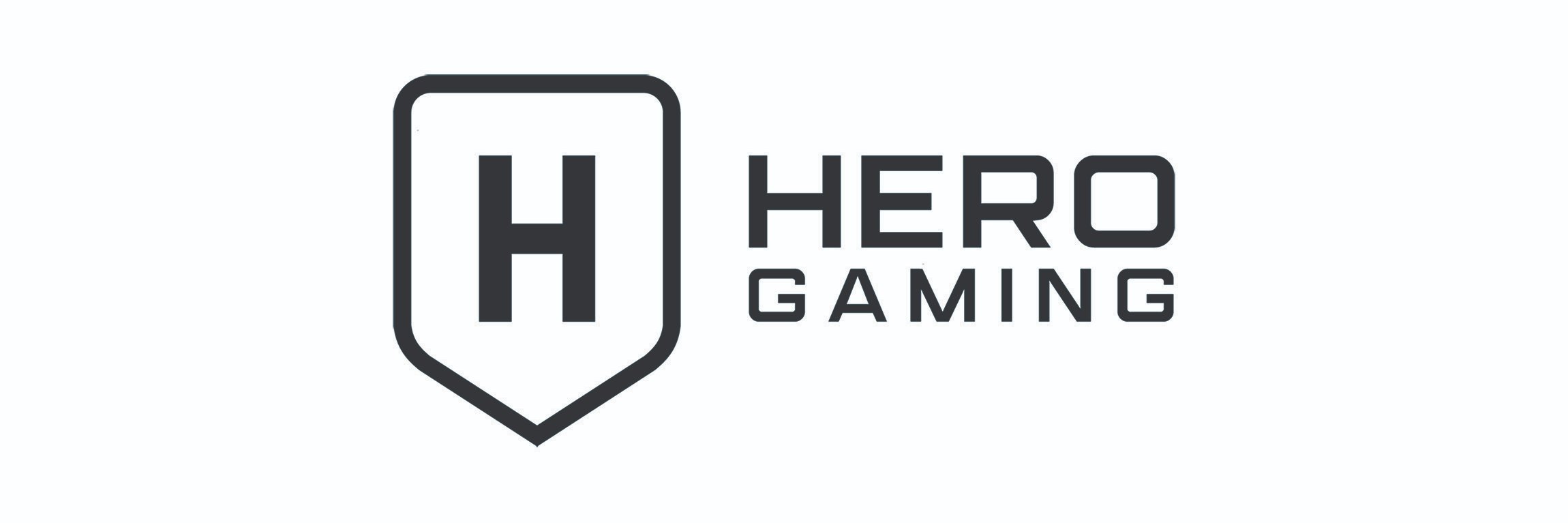 Hero Gaming banner