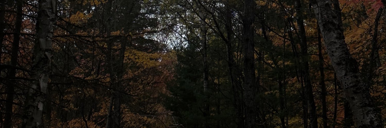 prmnitdmpstrbb's profile banner image