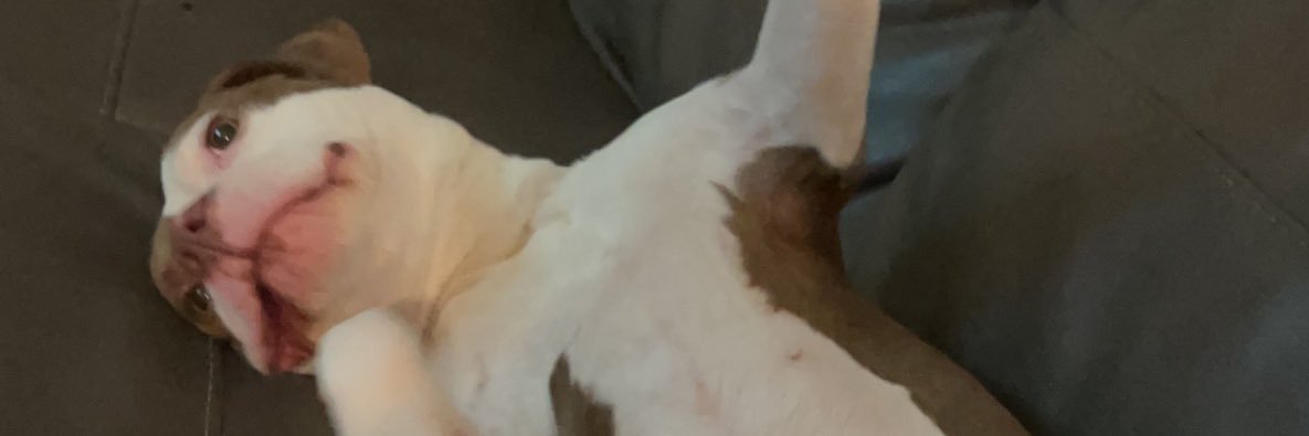 _vjay1's profile banner image