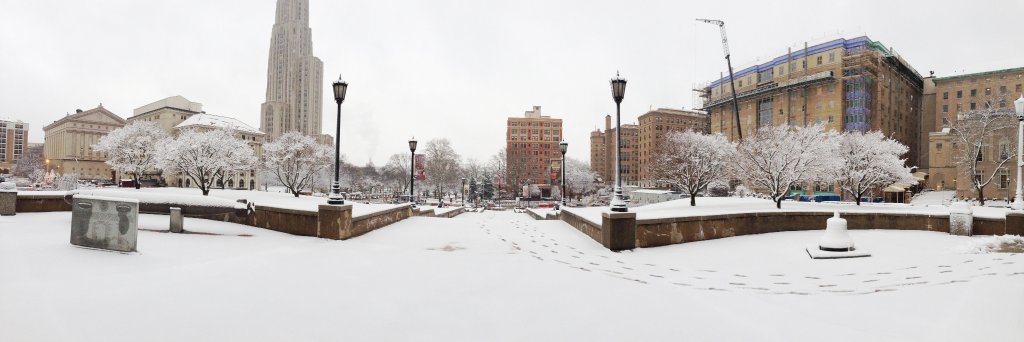 PittGrantsDev banner