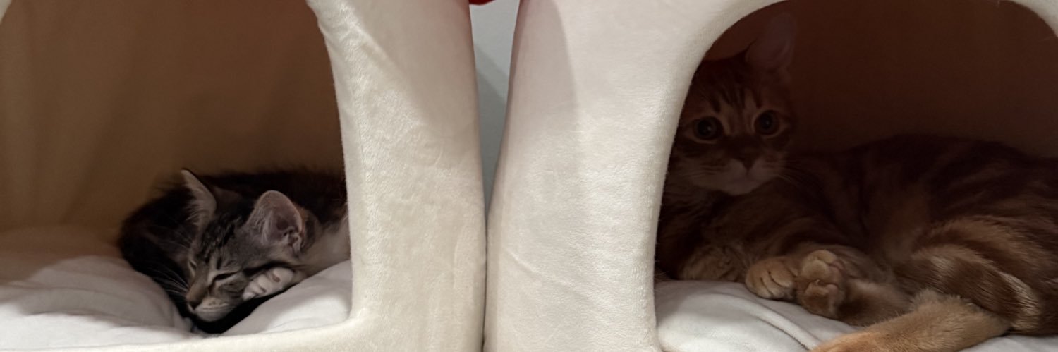 cayleeg01's profile banner image