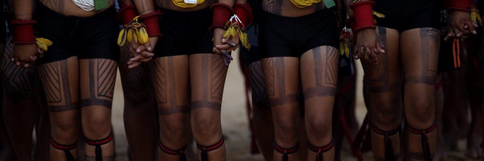homo banner