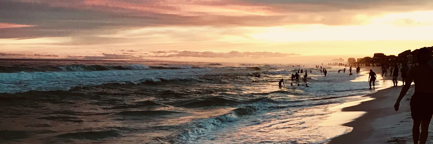 Kelly Van Sciever banner