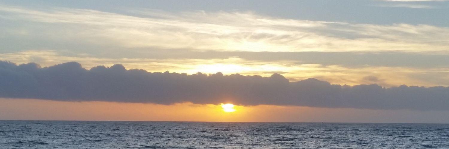 LPE_AP's profile banner image