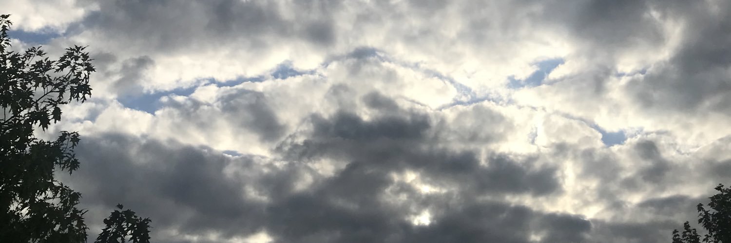 kellymmms's profile banner image