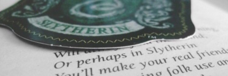 sel_the_penguin's profile banner image