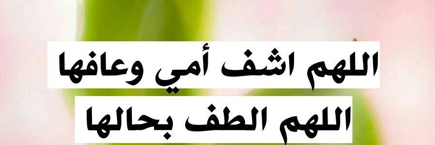 ali_otaibi's profile banner image