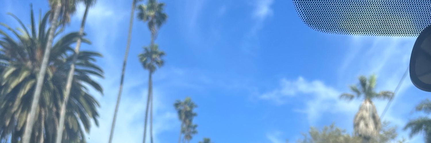 SELF_CREDIT's profile banner image