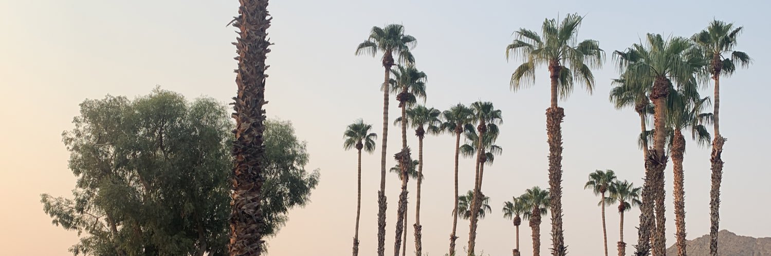 adamdougherty_'s profile banner image