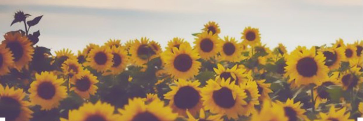 Ms. House banner