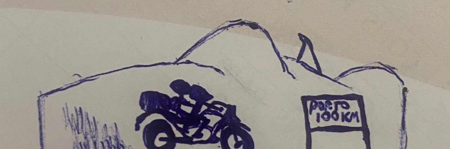 pedroplv317's profile banner image
