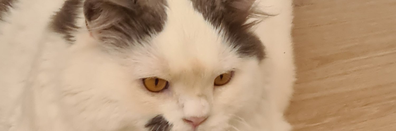 penaper_'s profile banner image