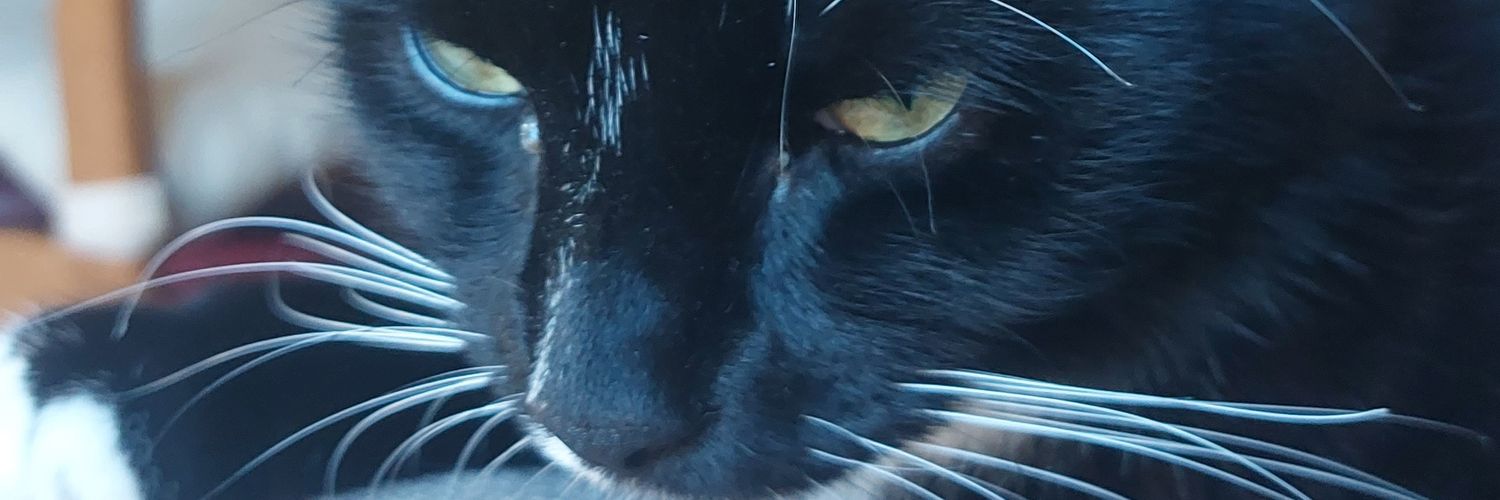 NicholasMStone's profile banner image