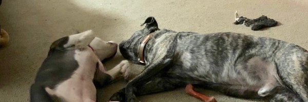 CStephensELA Profile Banner