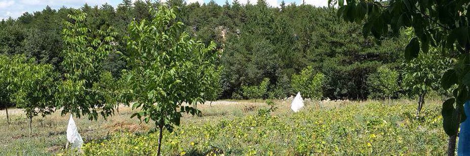 ilker076's profile banner image