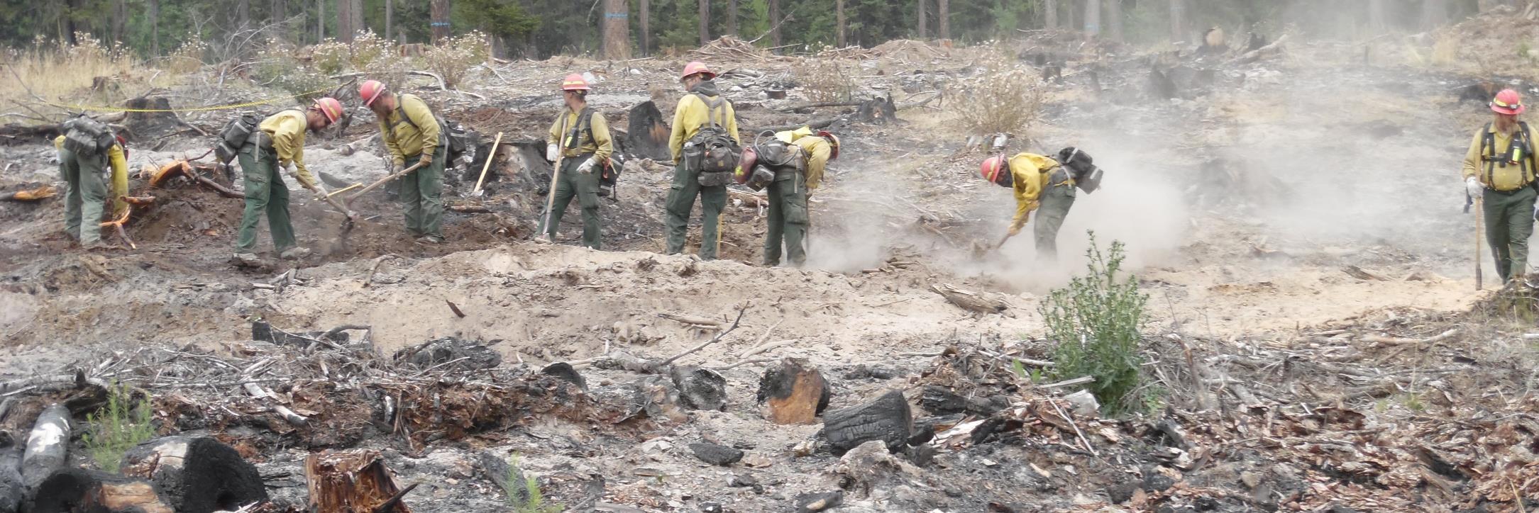 OkanoganComplex's profile banner image