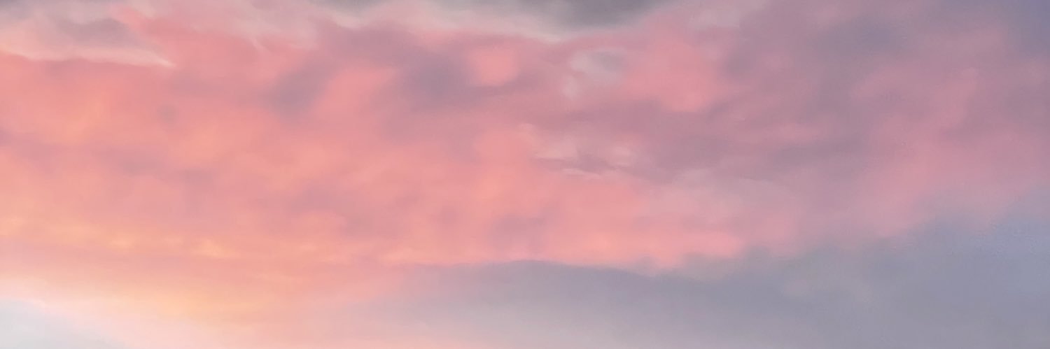 heybriiii_'s profile banner image