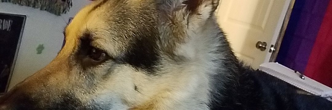 ZeeeeeeBeeeTeee's profile banner image