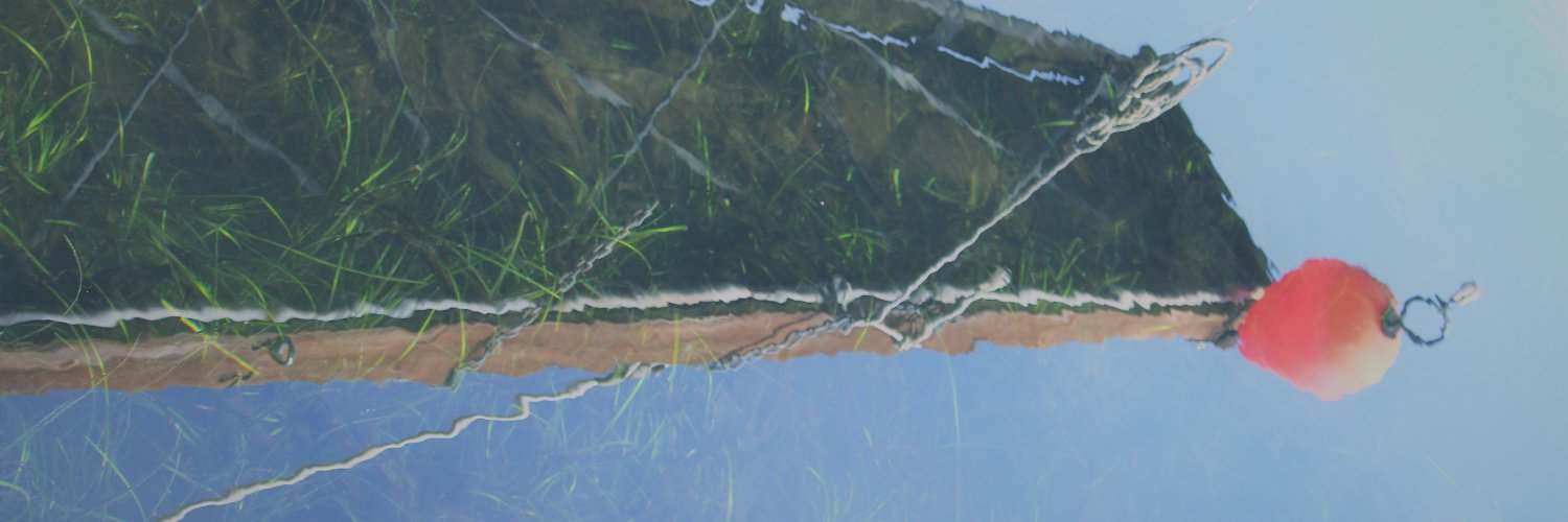 Florence Mandelik banner