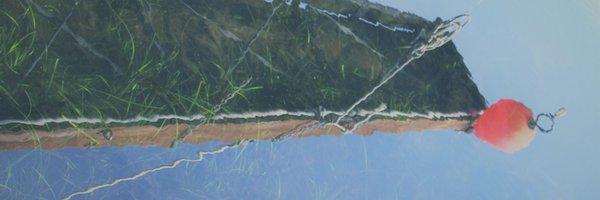 FloMandelik Profile Banner