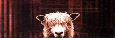 metalcioglu's profile banner image