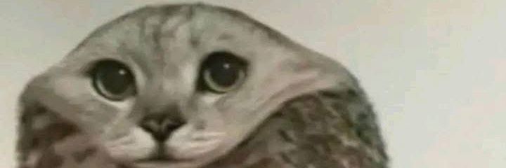 Random_Alsacien's profile banner image